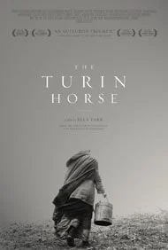 بررسی فیلم هنری The Turin Horse 2011 با تحلیل مفهومی