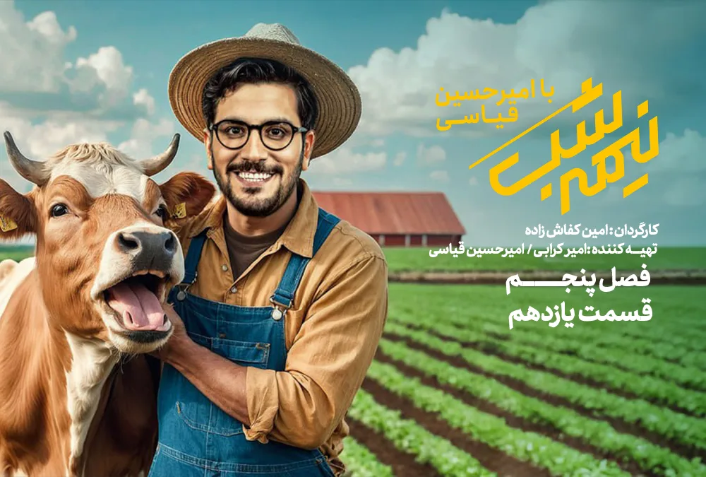 درباره قسمت یازدهم از نیمه شب با امیرحسین قیاسی