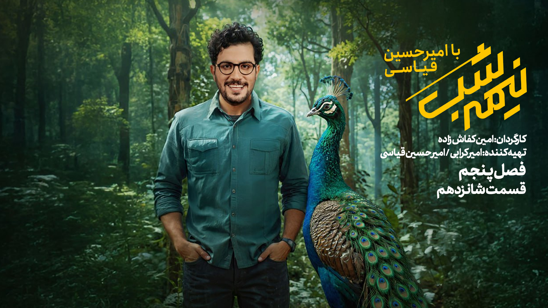 قسمت شانزدهم از نیمه شب با امیرحسین قیاسی