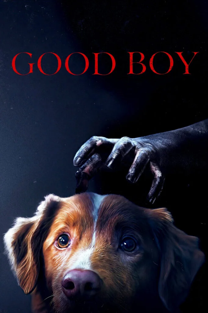 پسر خوب (Good Boy)