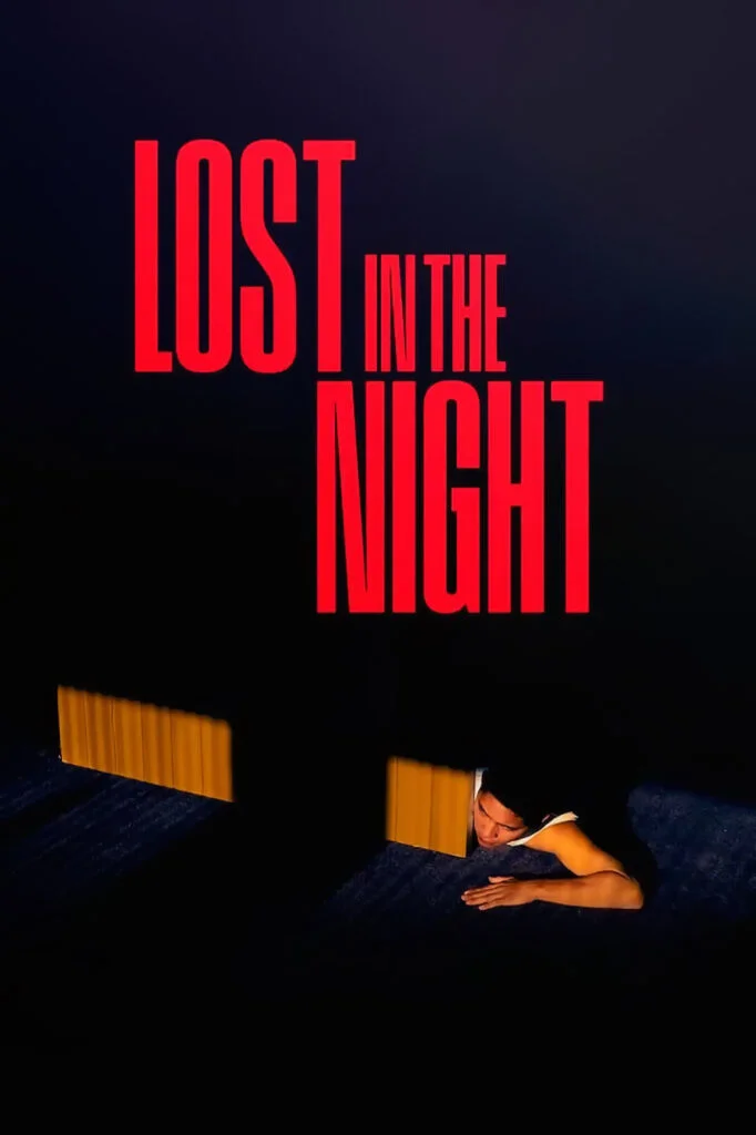 گم‌شده در شب (Lost in the Night)