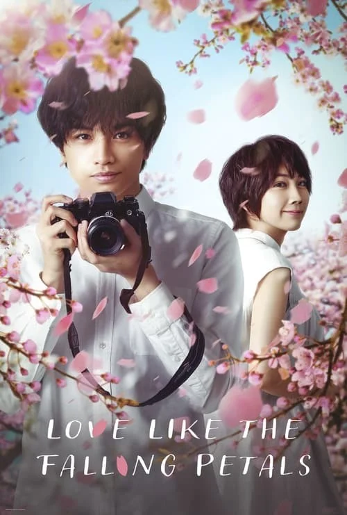 عشقی مانند سقوط گلبرگ ها (Love Like the Falling Petals)