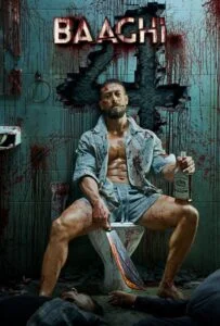 شورشی 4 (Baaghi 4)