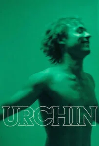 اورچین (Urchin)