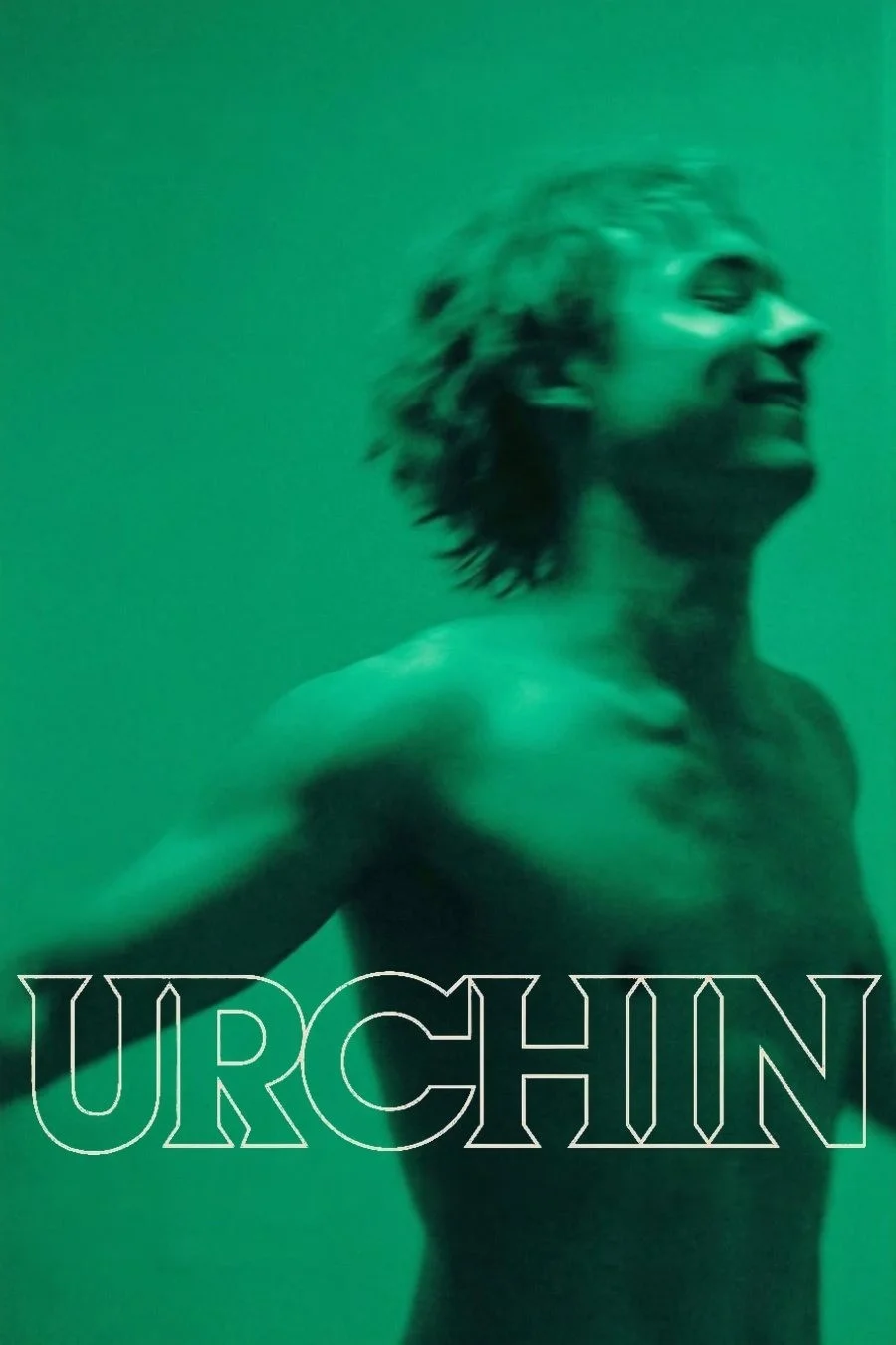 اورچین (Urchin)